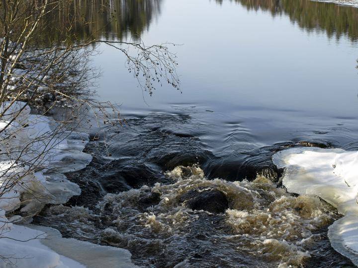 Lukijan Kuvat Keskisuomalainen